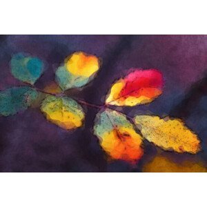 Ilustrace Abstract Autumn Leaves Watercolor Painting, oxygen, (40 x 26.7 cm)