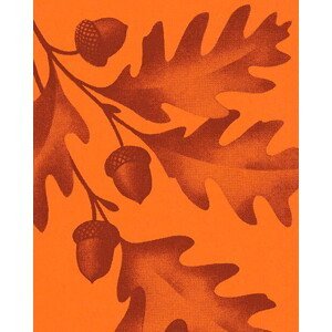 Ilustrace Fall Leaves and Acorns, CSA Images, (30 x 40 cm)