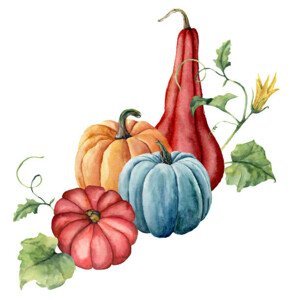Ilustrace Watercolor pumpkins composition, Yuliya Derbisheva, (40 x 40 cm)