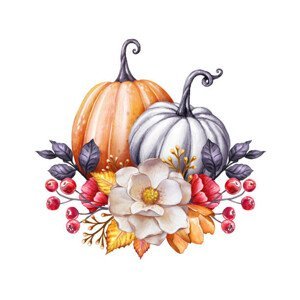 Ilustrace floral pumpkins, wacomka, (40 x 40 cm)