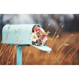 Umělecká fotografie Pastel teal mailbox with bouquet of flowers, CatLane, (40 x 26.7 cm)