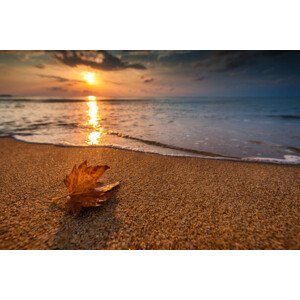 Umělecká fotografie Beautiful sunrise over the sea and leaf. Autumn concept., valio84sl, (40 x 26.7 cm)