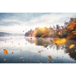 Umělecká fotografie Flying Autumn Leaves, borchee, (40 x 26.7 cm)