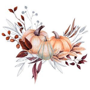 Ilustrace Watercolor Bouquet with Pumpkins and Silver Leaves, Nebula Cordata, (40 x 40 cm)