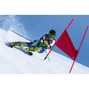 Umělecká fotografie Professional Female Alpine Skier at Giant, mmphoto, (40 x 26.7 cm)