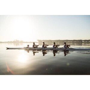 Umělecká fotografie Mixed race rowing team training on a lake at dawn, Alistair Berg, (40 x 26.7 cm)