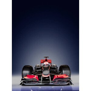 Umělecká fotografie open-wheel single-seater racing car Race Car, Jon Feingersh, (30 x 40 cm)