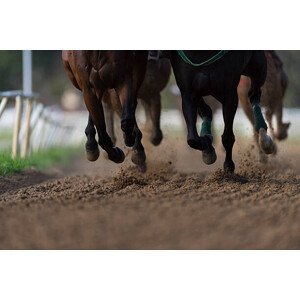 Umělecká fotografie Horse Racing detail, hooves on all weather track, Bob Thomas, (40 x 26.7 cm)