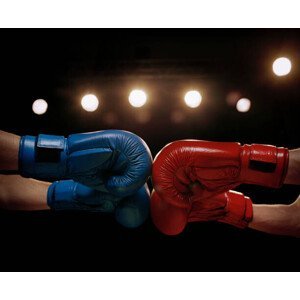 Umělecká fotografie Close Up of Boxers Touching Boxing, Glasshouse Images, (40 x 35 cm)