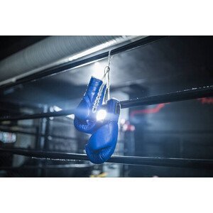 Umělecká fotografie Boxing gloves hanging in boxing ring, Westend61, (40 x 26.7 cm)