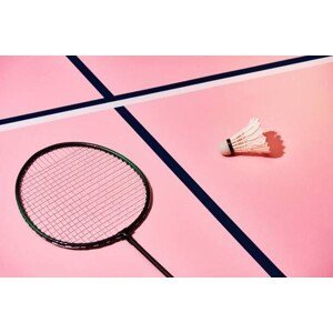 Umělecká fotografie Close-up of badminton racket and shuttlecock, Diaconu Delia / 500px, (40 x 26.7 cm)