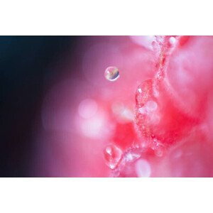 Umělecká fotografie Extreme close-up of raspberry, Ralf Hiemisch, (40 x 26.7 cm)
