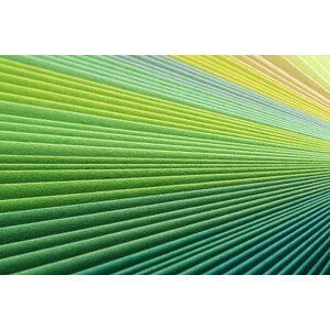 Umělecká fotografie Green Paper Pages Stack Radial Gradient, MirageC, (40 x 26.7 cm)