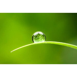 Umělecká fotografie Waterdrop.  Water Drop Leaf Environmental, ThomasVogel, (40 x 26.7 cm)
