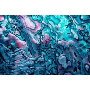 Umělecká fotografie new zealand paua shell in blue, Elen11, (40 x 26.7 cm)