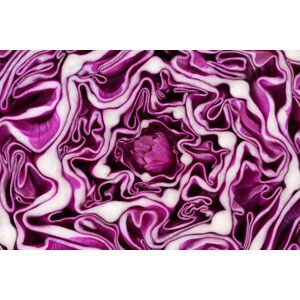 Umělecká fotografie Red cabbage portion macro background, Dimitris66, (40 x 26.7 cm)