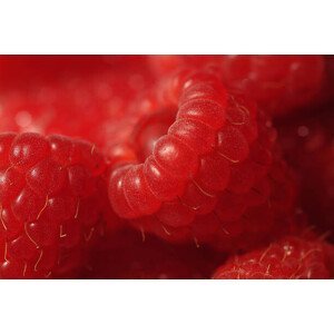 Umělecká fotografie Close up of red raspberries (Rubus idaeus), David Burton, (40 x 26.7 cm)