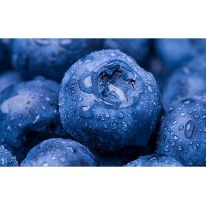 Umělecká fotografie Wet Blueberry Closeup, Kativ, (40 x 24.6 cm)