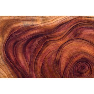 Umělecká fotografie Wood pattern, (40 x 26.7 cm)