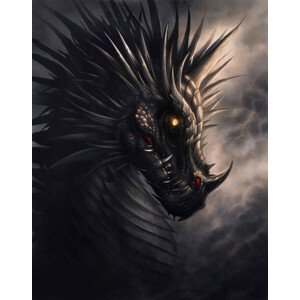 Umělecký tisk Black dragon portrait, Refluo, (30 x 40 cm)