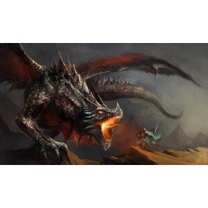 Umělecký tisk knight fighting dragon, fotokostic, (40 x 24.6 cm)