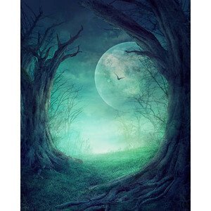 Umělecký tisk Halloween Spooky Forest, mythja, (30 x 40 cm)
