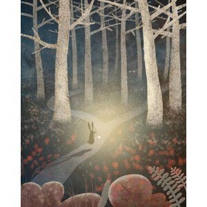 Umělecký tisk Rabbit in the dark forest, Boris SV, (30 x 40 cm)