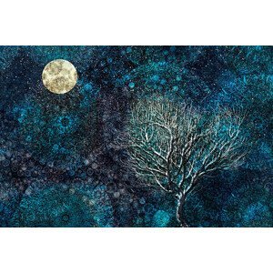 Umělecký tisk Moonlit winter tree against a starry sky, Andrew Bret Wallis, (40 x 26.7 cm)