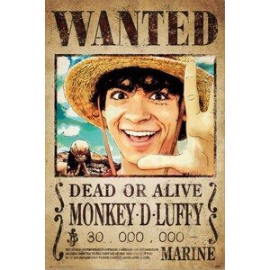 Plakát, Obraz - One Piece - Wanted Monkey D. Luffy, (61 x 91.5 cm)