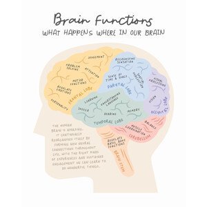 Ilustrace Brainfunctions, Beth Cai, (30 x 40 cm)