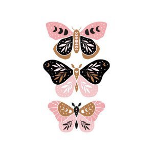 Ilustrace Celestial butterfly vector illustration., Алёна Коваль, (30 x 40 cm)