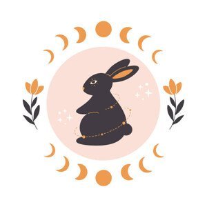 Ilustrace Cute rabbit with astrology, botany and, Alina Kotliar, (40 x 40 cm)