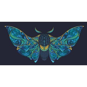 Ilustrace Abstract mystical Moth in psychedelic design., mushroomstore, (40 x 20 cm)