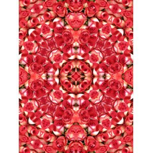Ilustrace Kaleidoscopic pattern of red roses, Busà Photography, (30 x 40 cm)