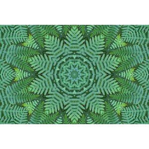 Ilustrace Green Ferns Pattern, Massimo Ravera, (40 x 26.7 cm)