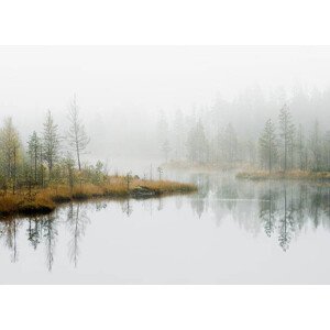 Umělecká fotografie Water in forest, Roine Magnusson, (40 x 30 cm)