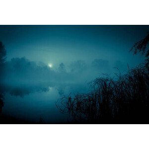 Umělecká fotografie Night mystical scenery. Full moon over, stsmhn, (40 x 26.7 cm)