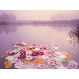 Umělecká fotografie Colorful flowers floating in lake at misty dawn, EschCollection, (40 x 30 cm)