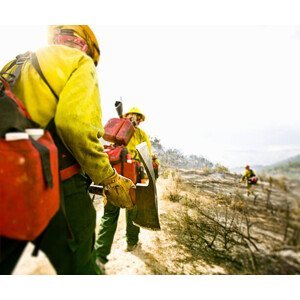 Umělecká fotografie Forest firefighters walking with pickaxes, rear, Tyler Stableford, (40 x 35 cm)