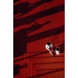 Umělecká fotografie Executives conferring in lobby, shadows and stairs, Will & Deni McIntyre, (26.7 x 40 cm)