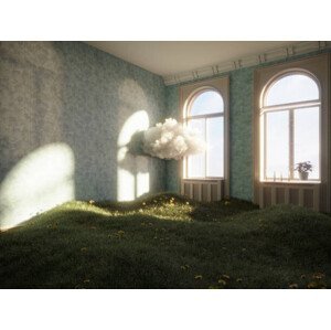 Umělecká fotografie Home Interior with grass and cloud, Eoneren, (40 x 30 cm)