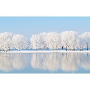 Ilustrace winter landscape with beautiful reflection in, bereta, (40 x 24.6 cm)
