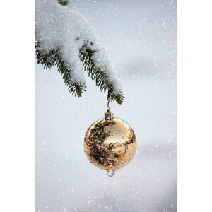 Ilustrace A Gold Ball Ornament Hanging From, Design Pics / John Short, (26.7 x 40 cm)