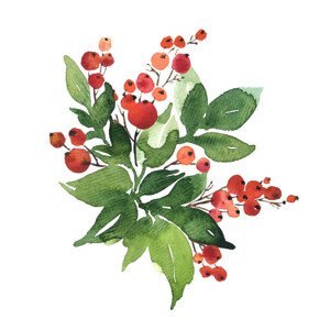 Ilustrace Christmas watercolor bouquet arranging with holly, IMR, (40 x 40 cm)
