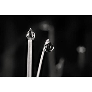 Umělecká fotografie Shiny Water Drops in Monochrome, Ali Majdfar, (40 x 26.7 cm)