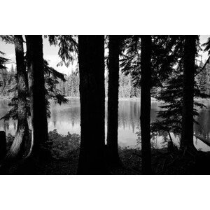 Umělecká fotografie Forest lake, Sycikimagery, (40 x 26.7 cm)