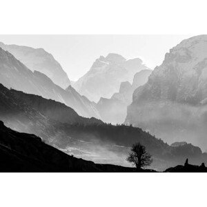 Umělecká fotografie Morning in foggy mountains. Black and, VittoriaChe, (40 x 26.7 cm)