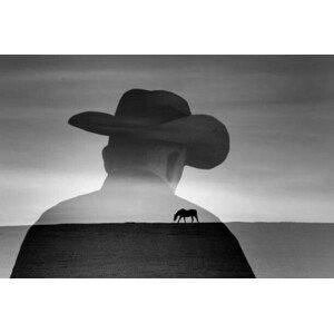 Umělecký tisk Silhouette of cowboy and scenic view, Grant Faint, (40 x 26.7 cm)