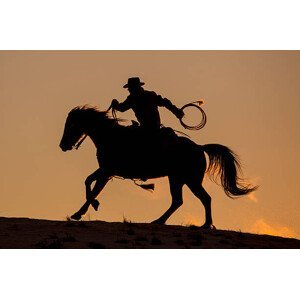 Umělecký tisk Cowboy & Horse Sunset Silhouette, Darrell Gulin, (40 x 26.7 cm)