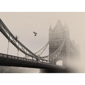 Umělecká fotografie Tower Bridge, Lena Weisbek, (40 x 30 cm)